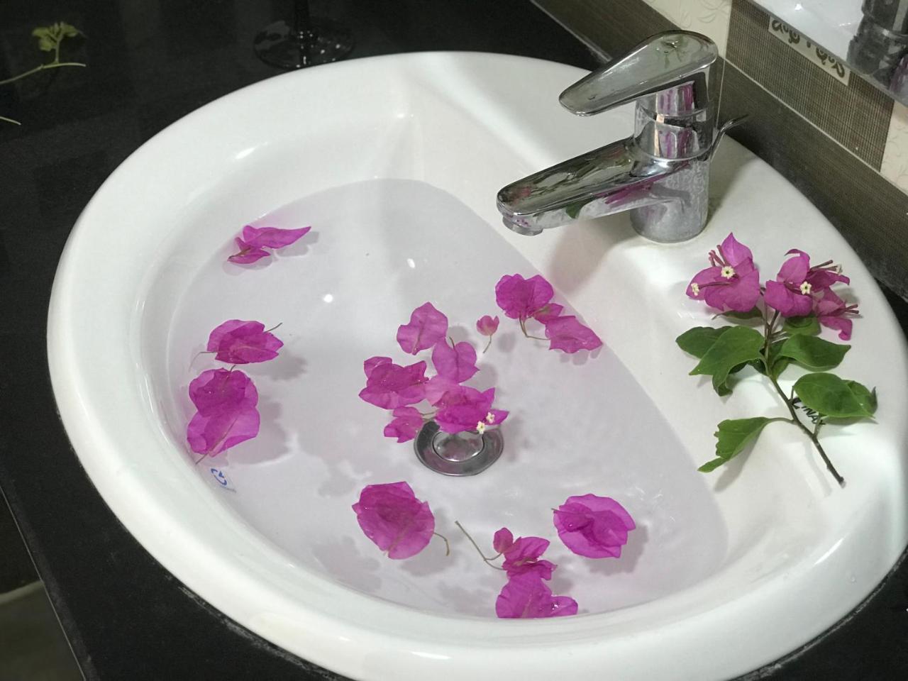Ha Vy Hotel Cat Ba Island Zewnętrze zdjęcie